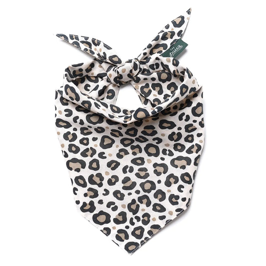 Bandana Pounce