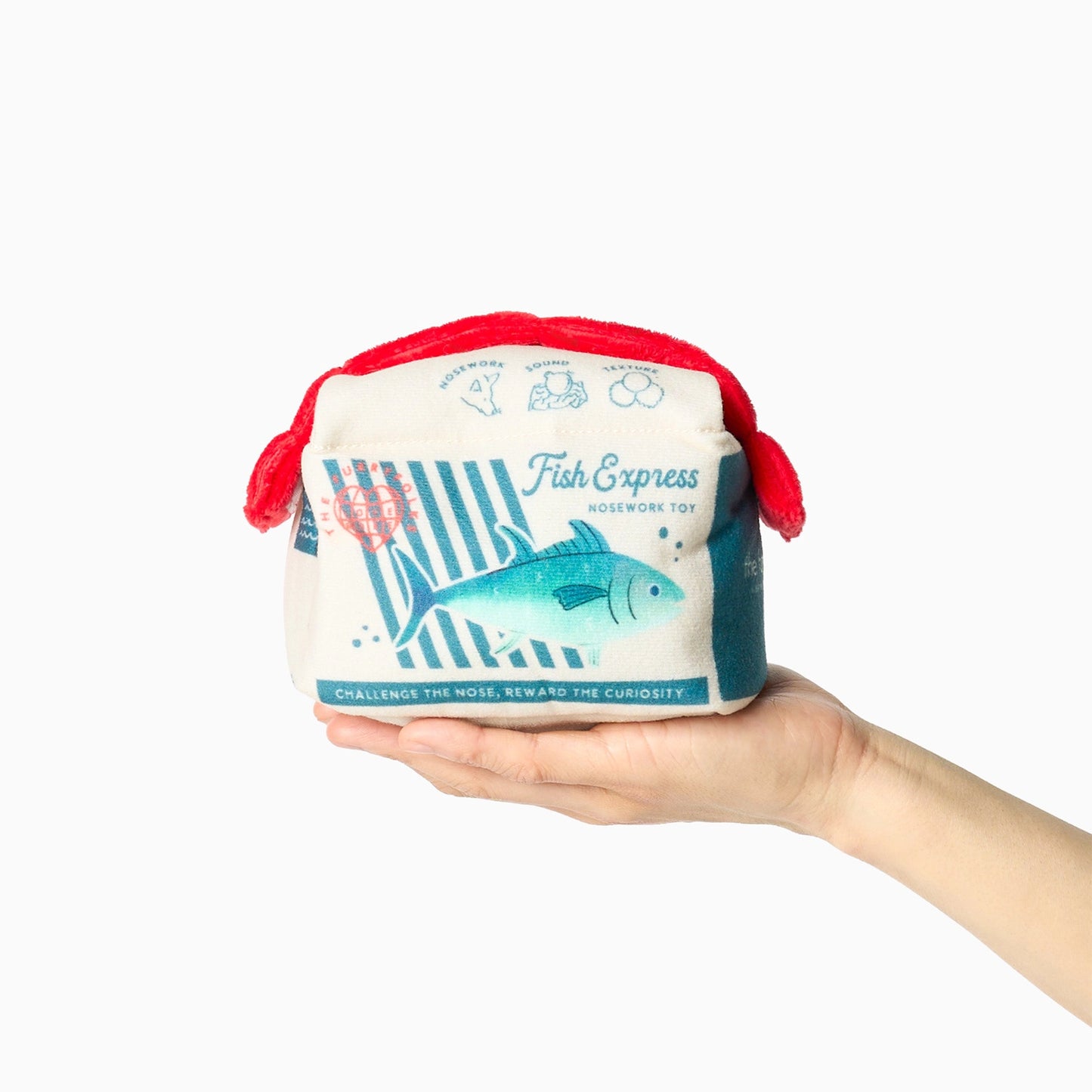 Jouet de fouille Fish Express
