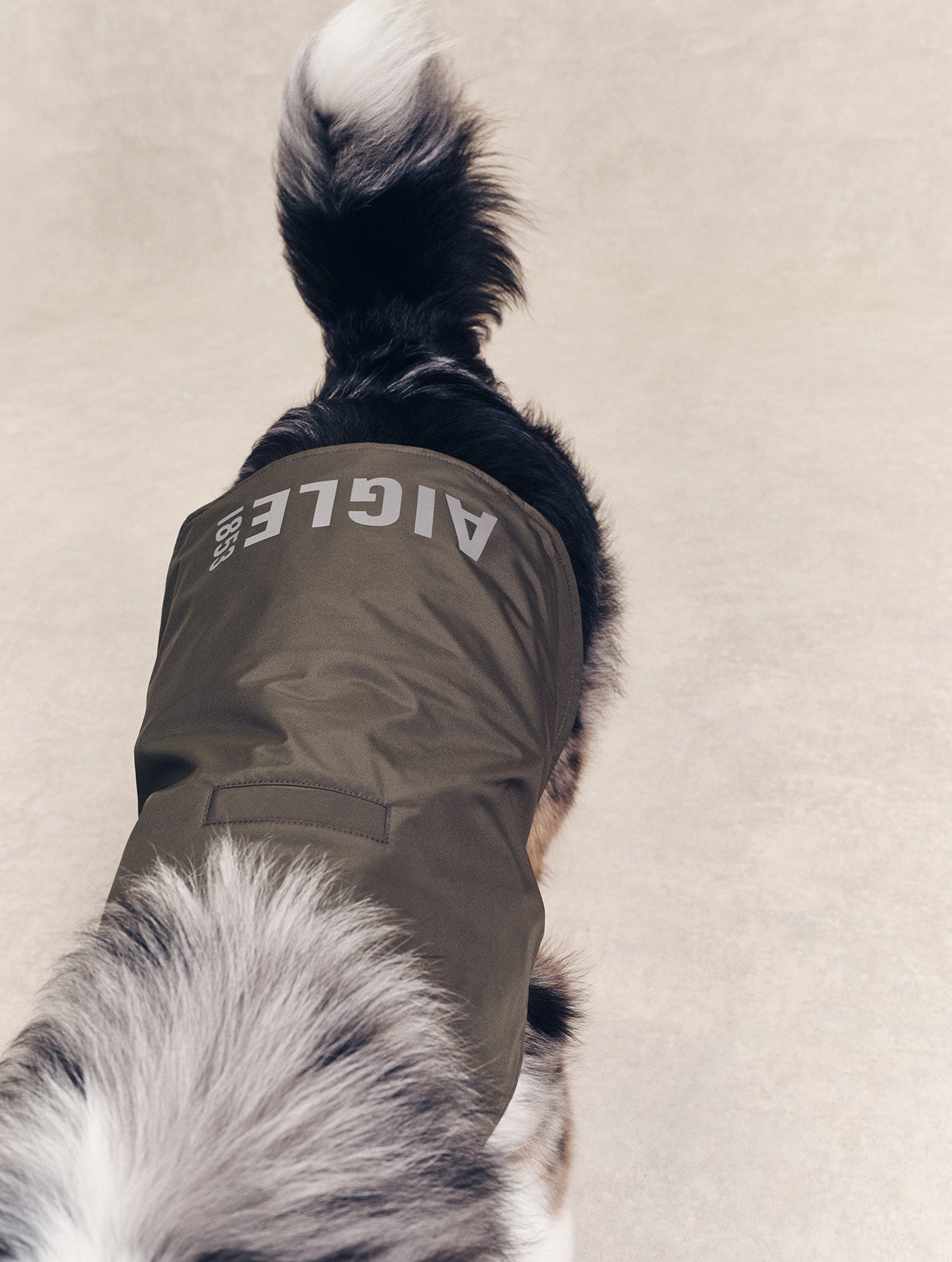 Imperméable pour chien Rainpack Light