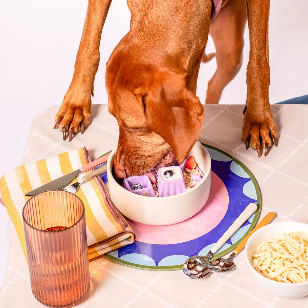 Insert anti-glouton Snackaroni