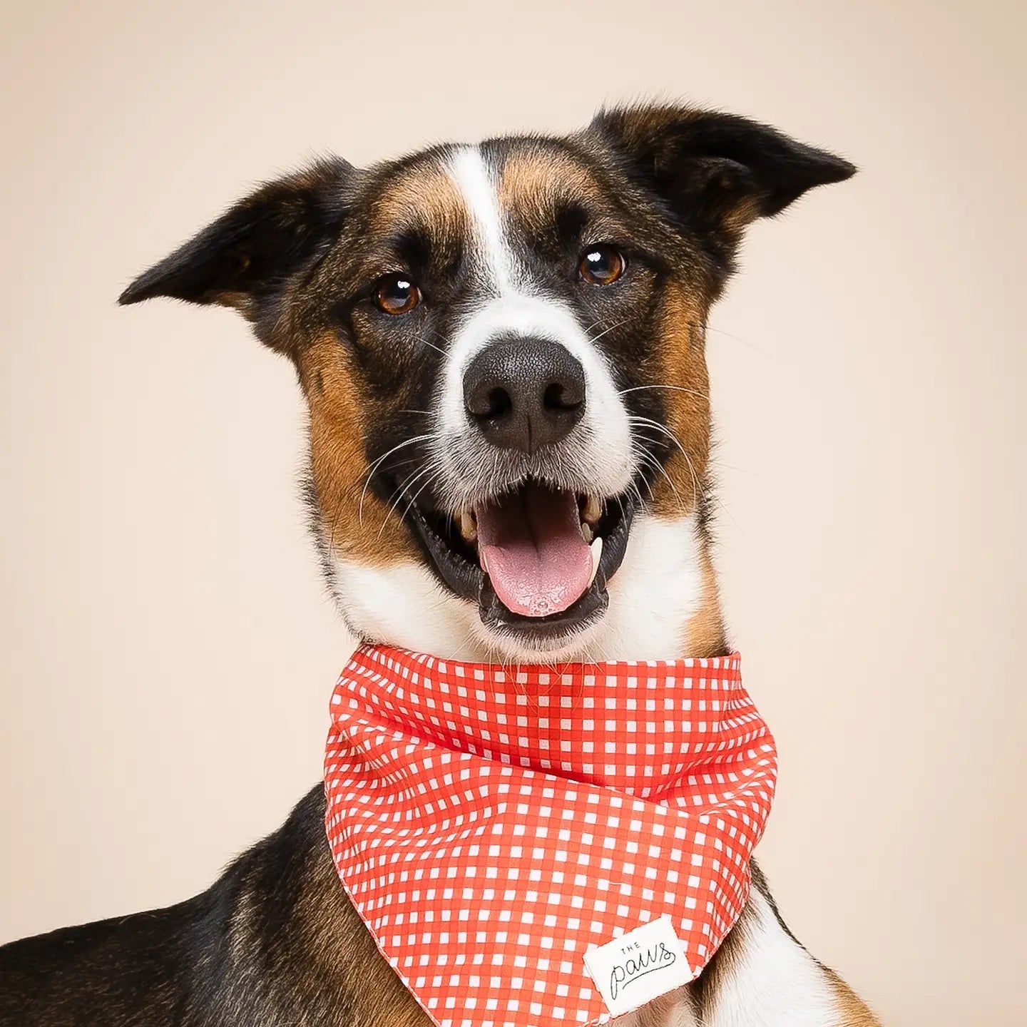Bandana Vichy rouge