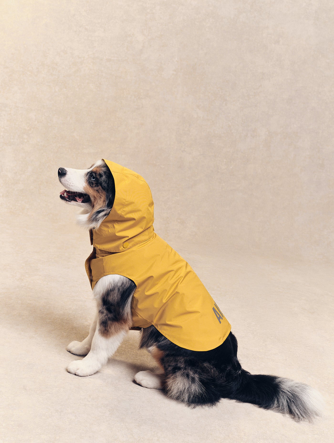 Imperméable pour chien Rainpack Light