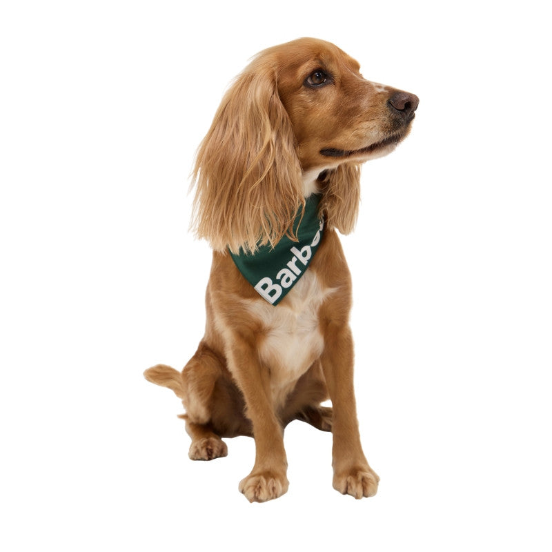 Bandana vert à logo Barbour