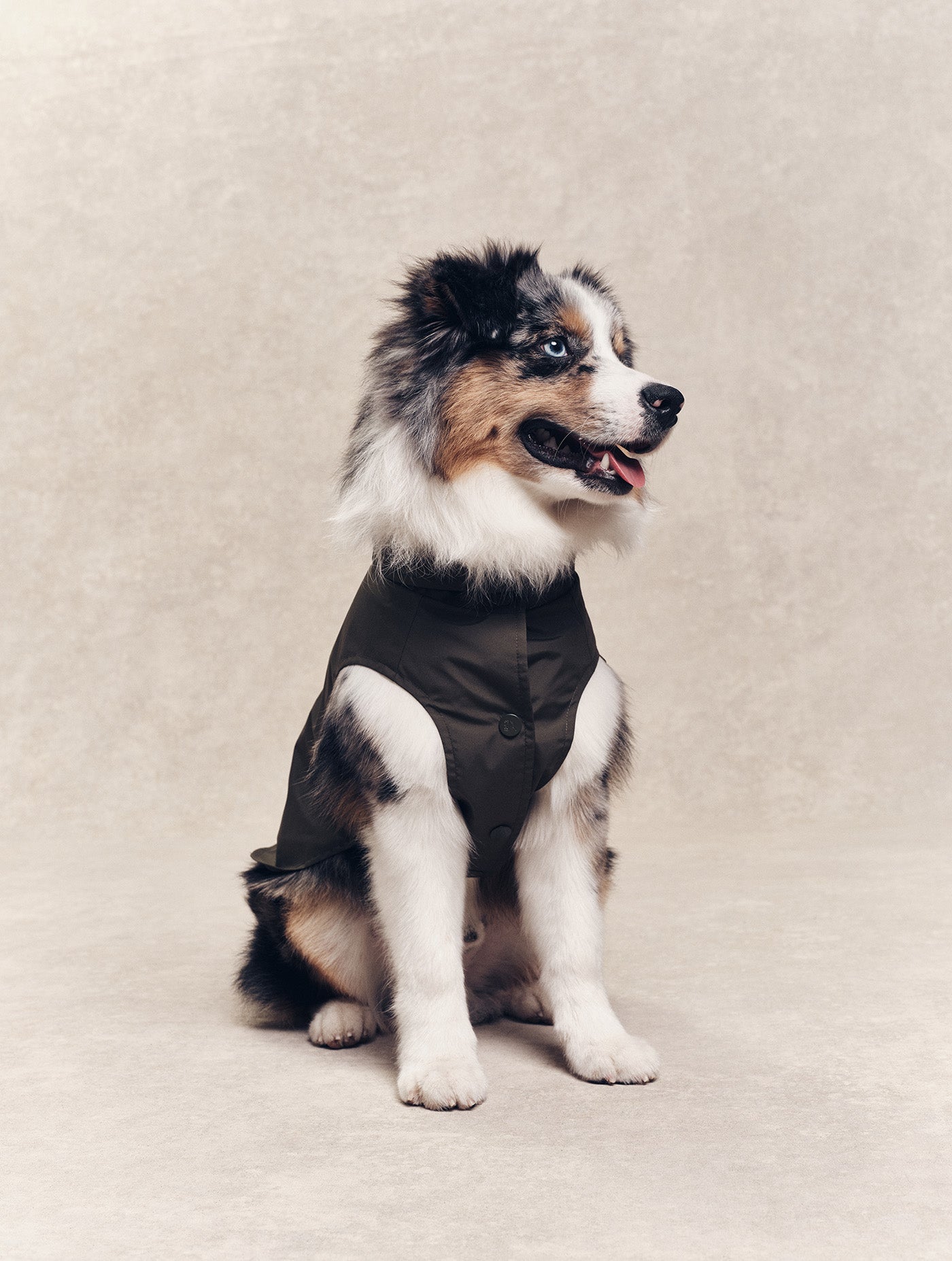 Imperméable pour chien Rainpack Light