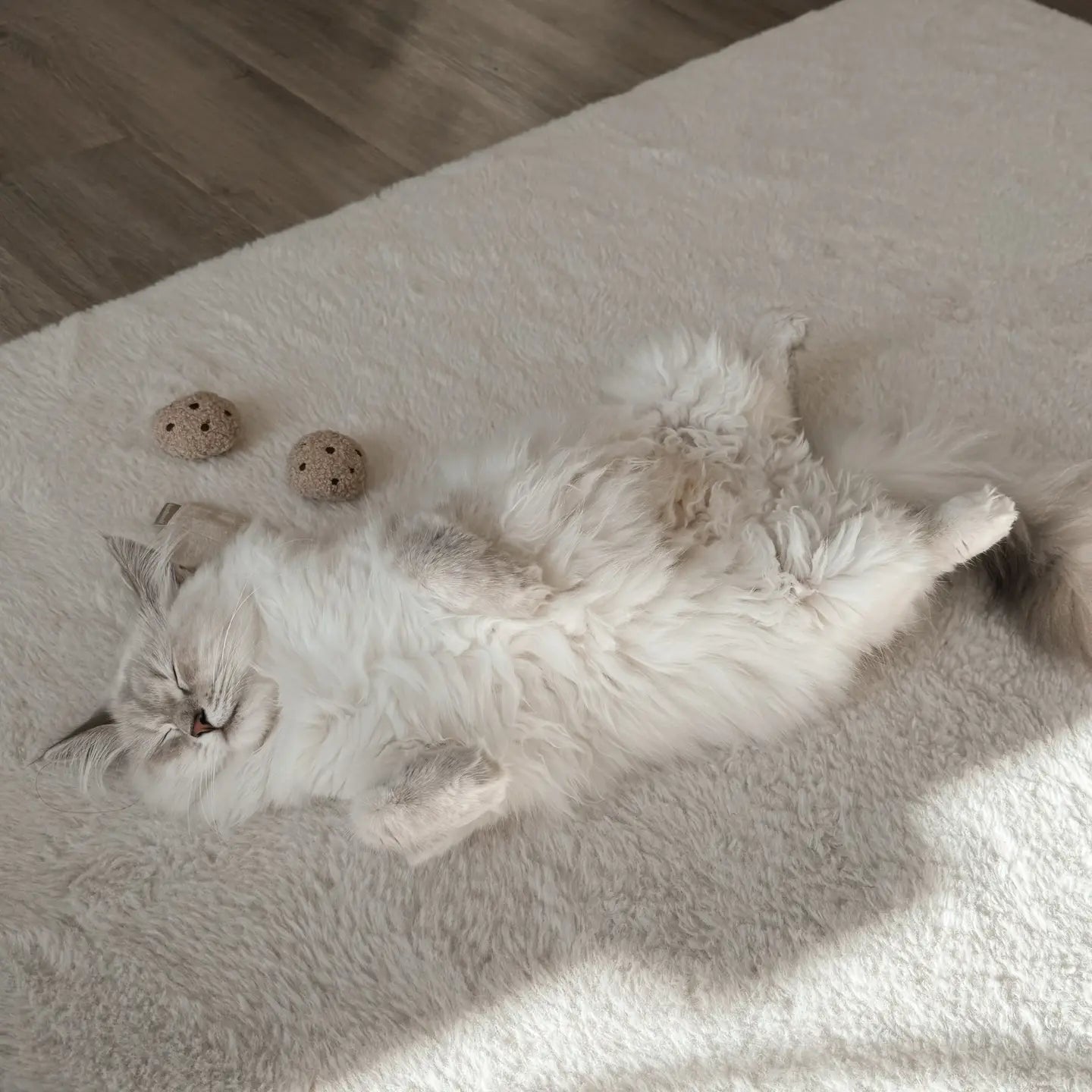 Jouet pour chat Tea Time