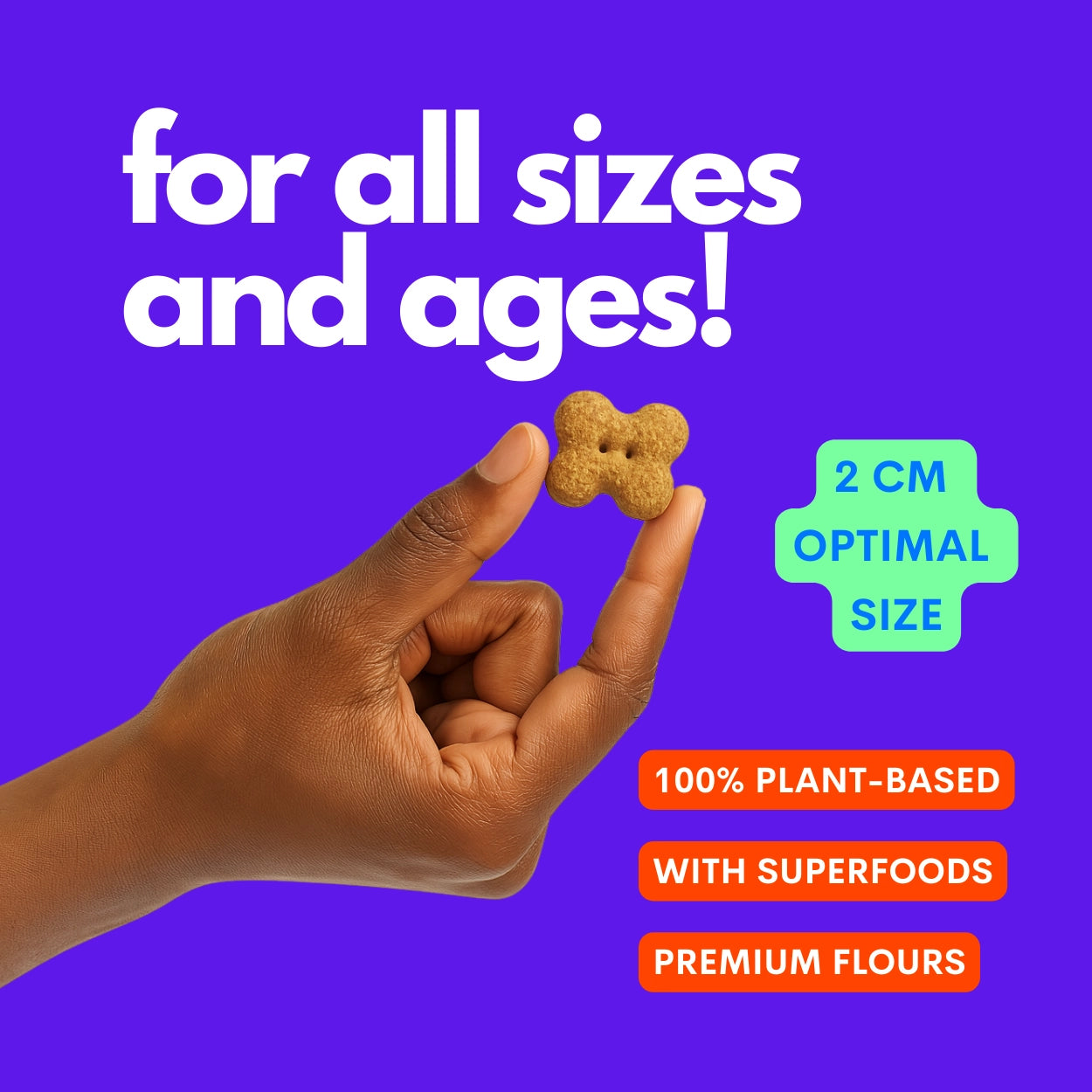 Friandises coco et pomme Pop a biscuit