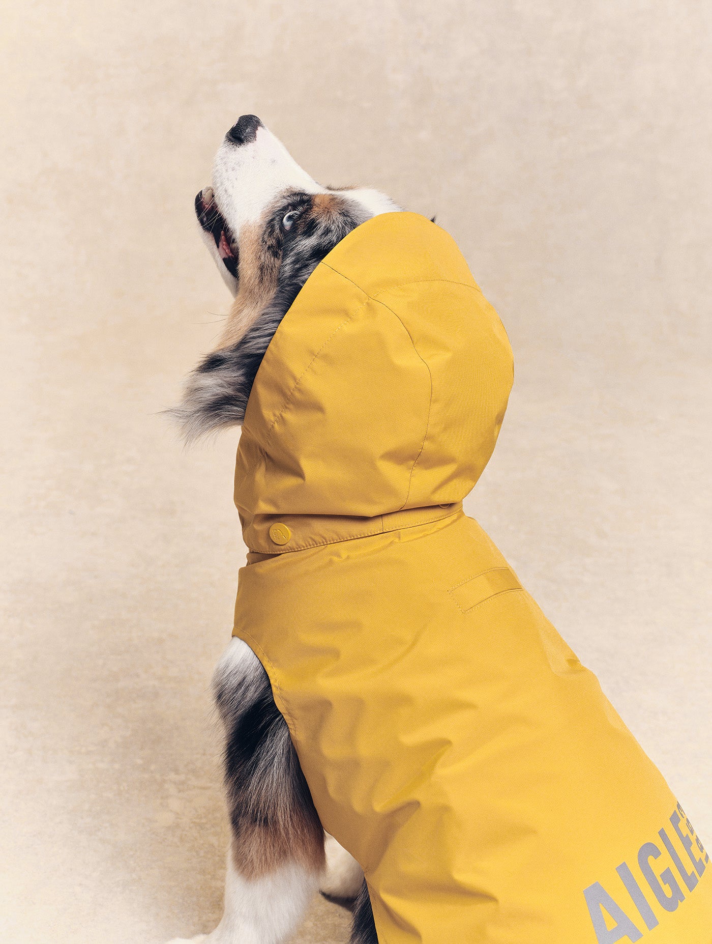 Imperméable pour chien Rainpack Light