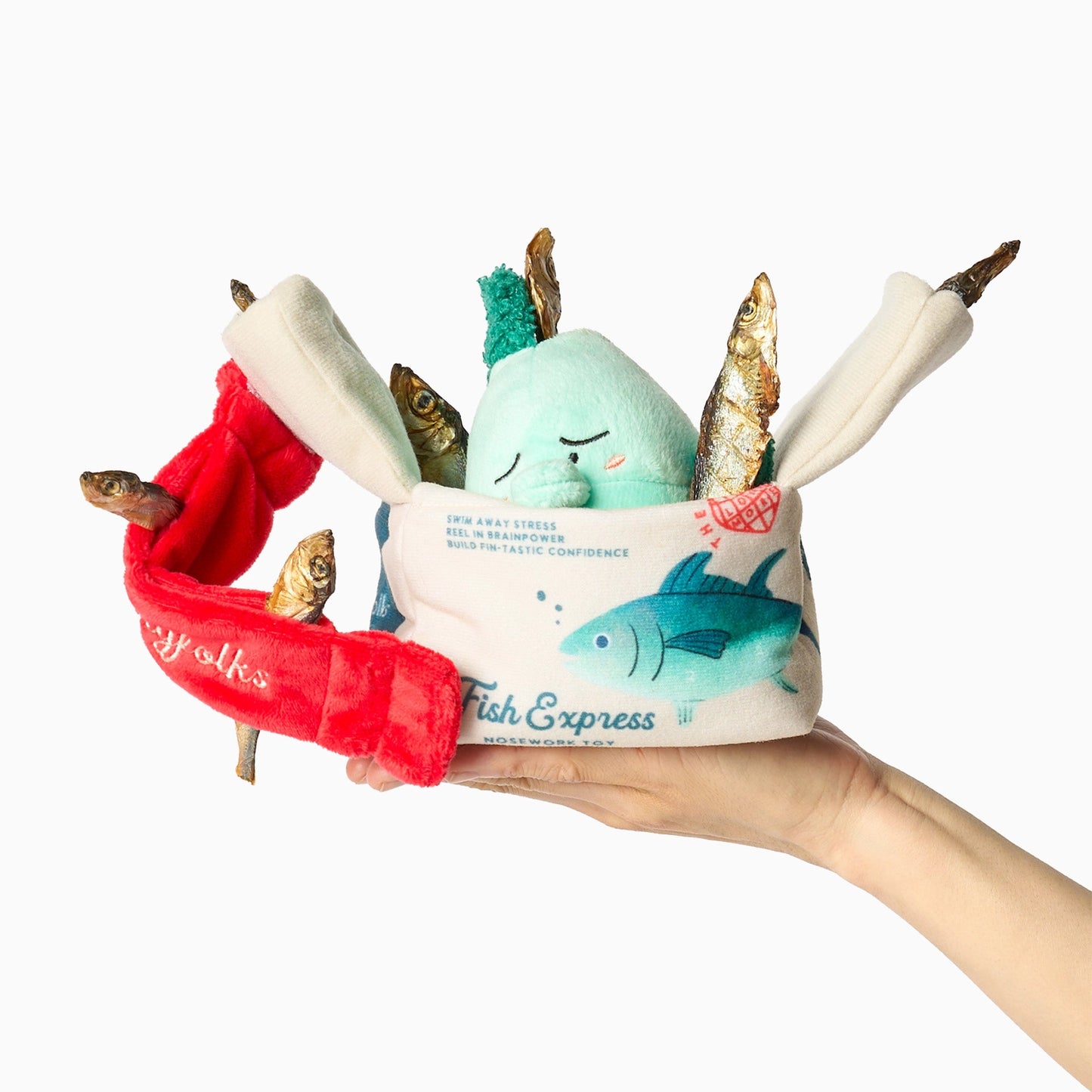 Jouet de fouille Fish Express