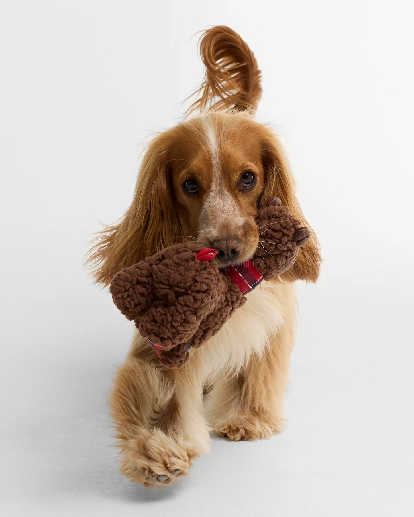 Jouet pour chien Barbour Lama