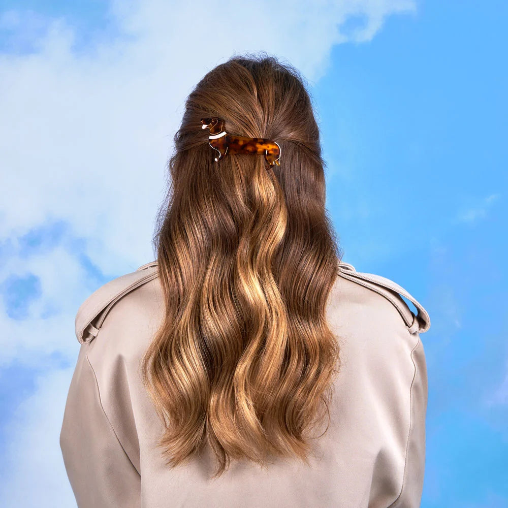 French barrette à cheveux Teckel