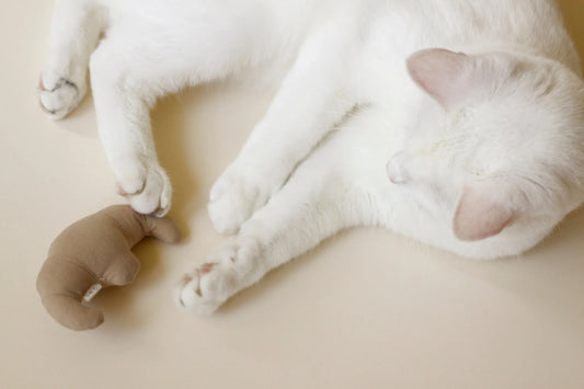 Jouet pour chat croissant