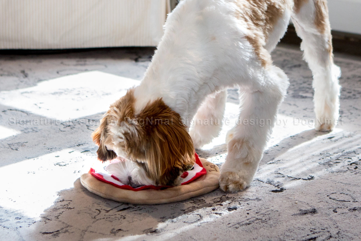 Tapis de fouille Pizza