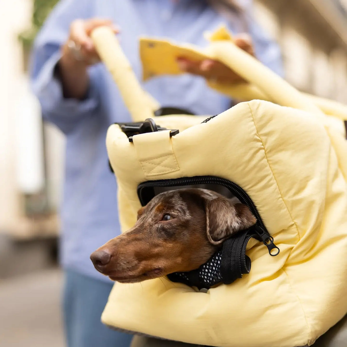 Sac de transport pour chiens