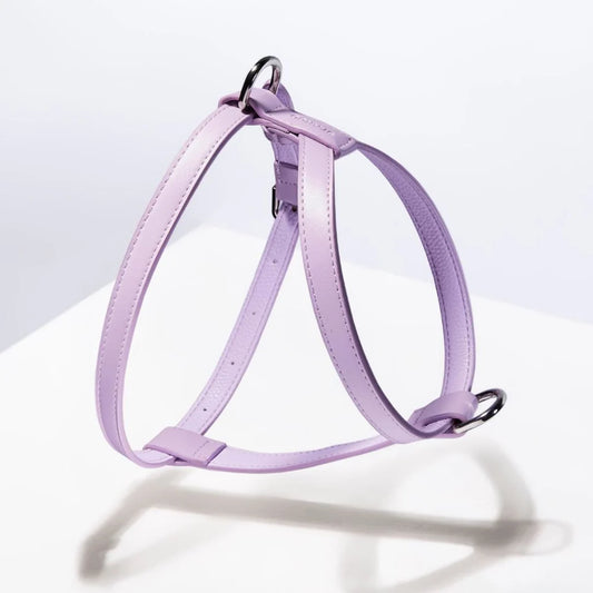 Harnais en cuir vegan