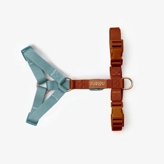 Harnais Blue & Clay