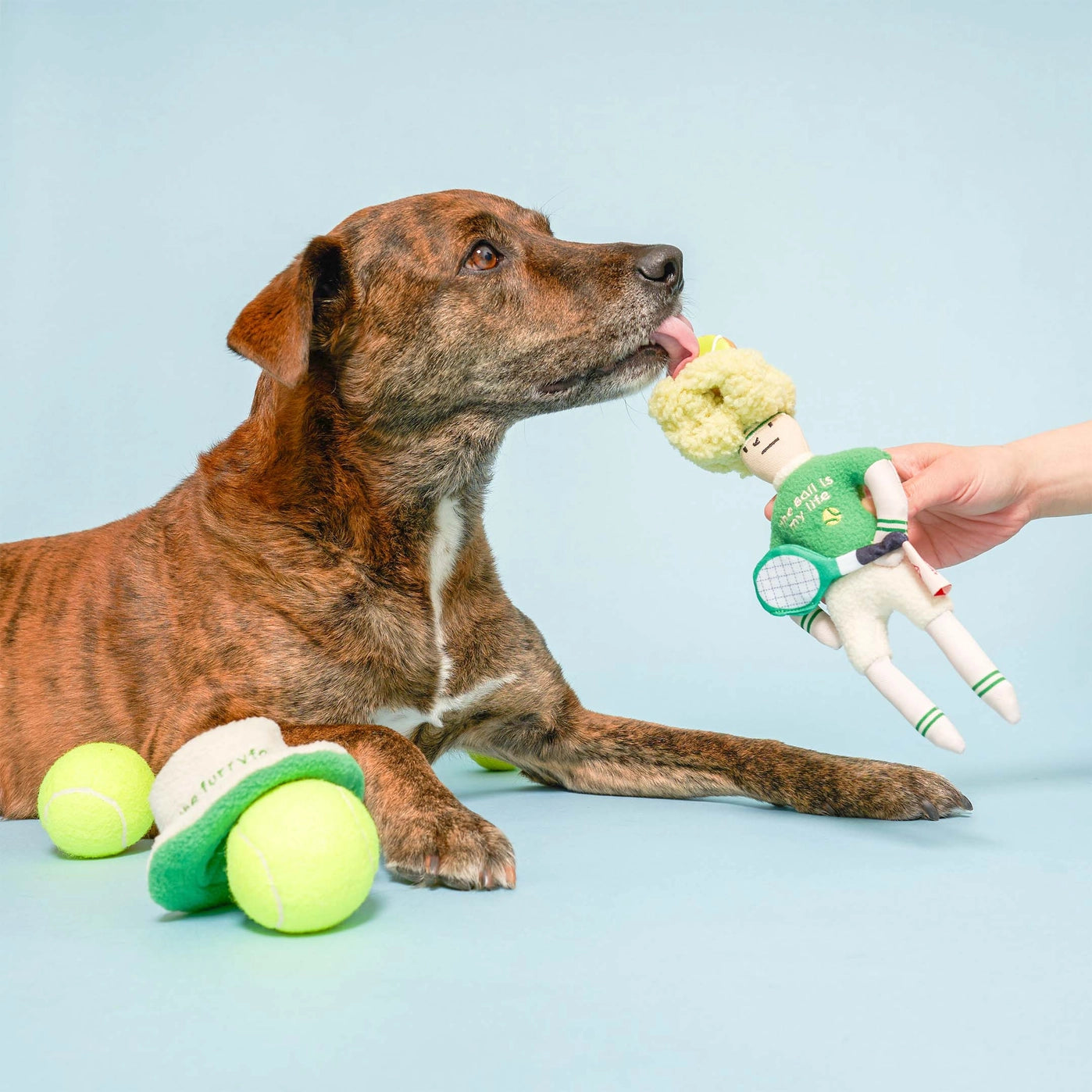 Jouet de fouille Tennis Hooman