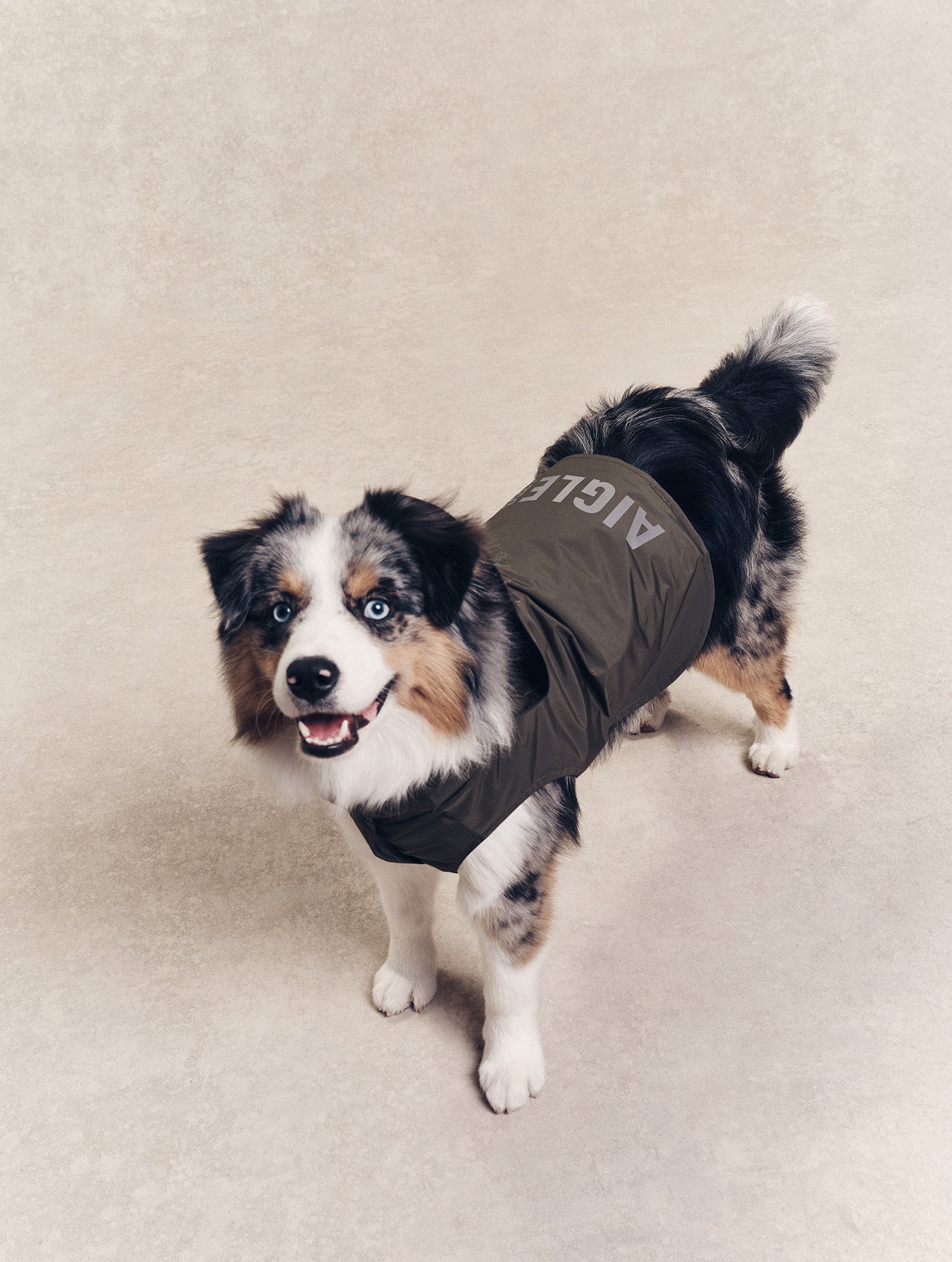 Imperméable pour chien Rainpack Light