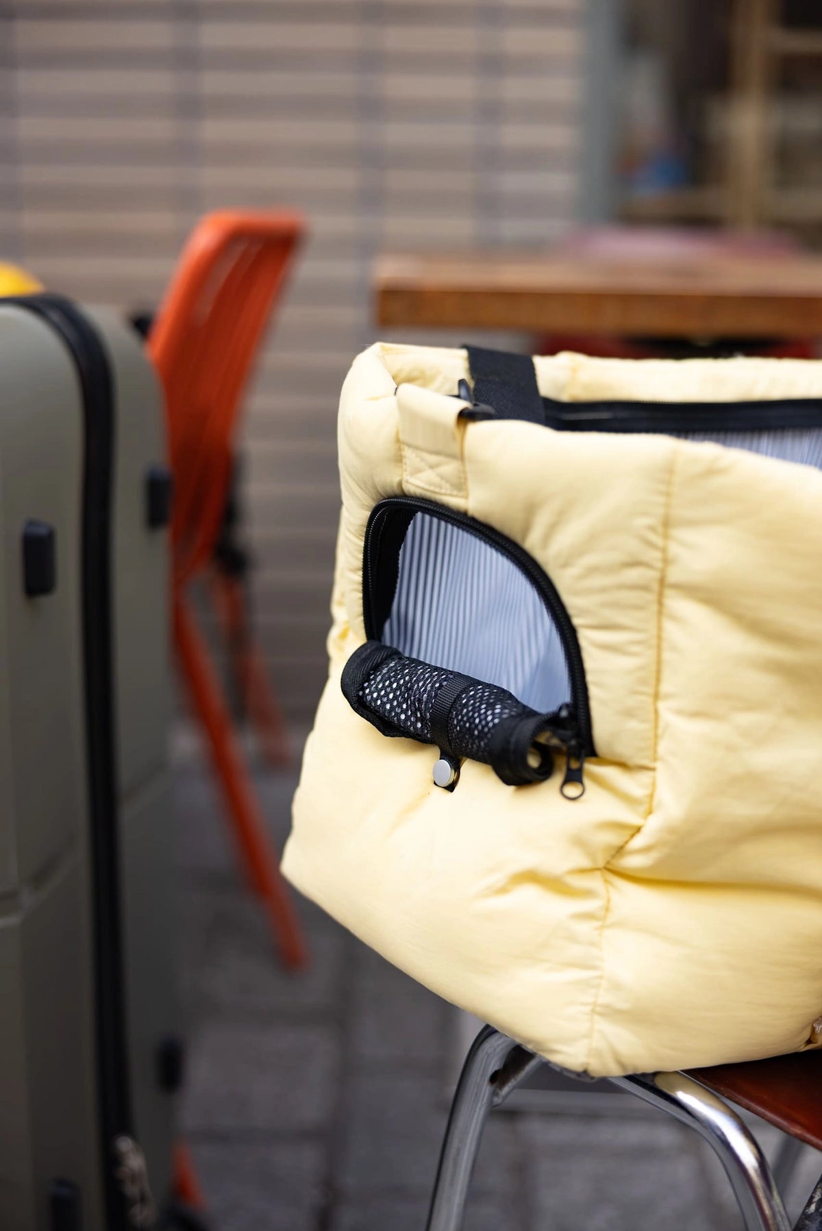 Sac de transport pour chiens
