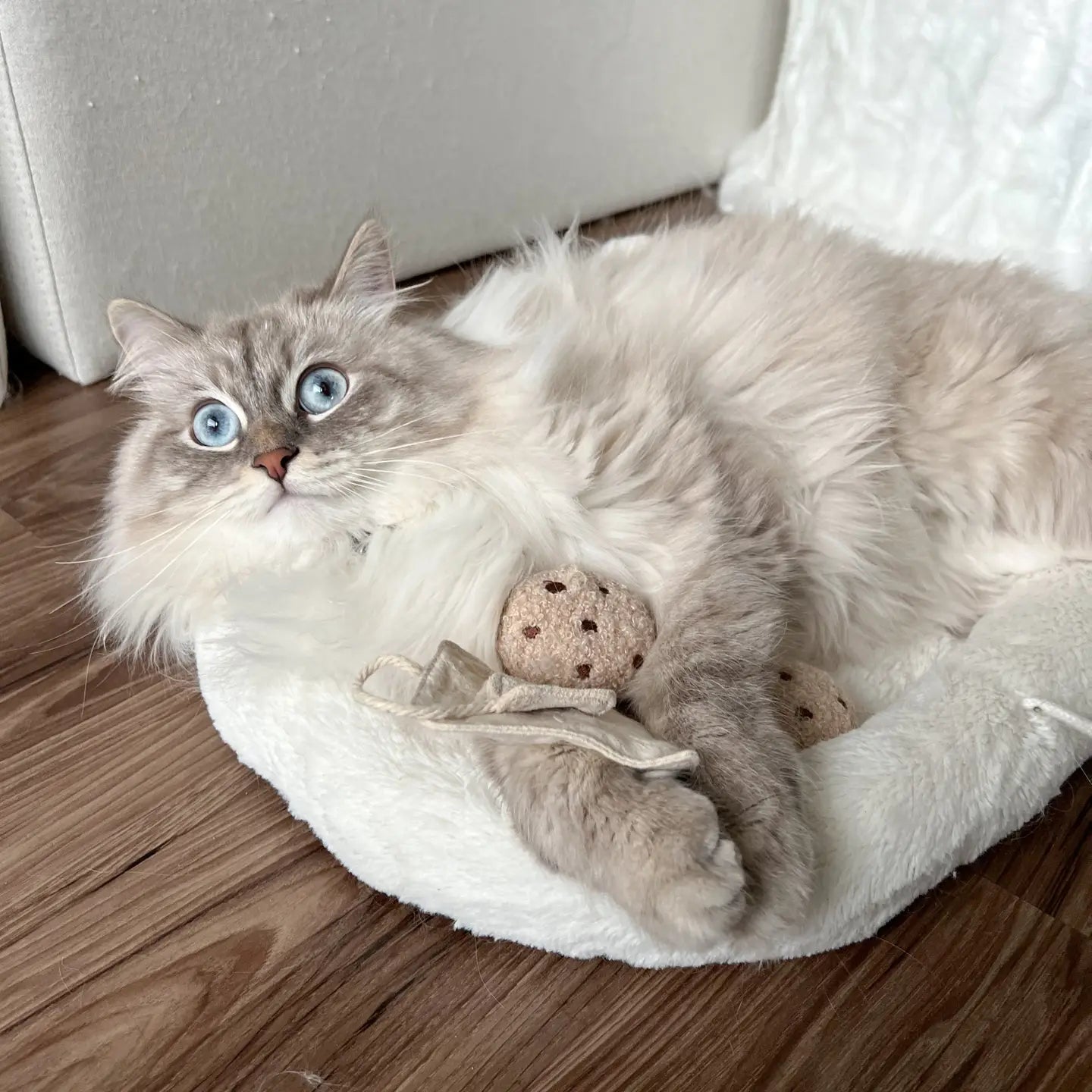 Jouet pour chat Tea Time