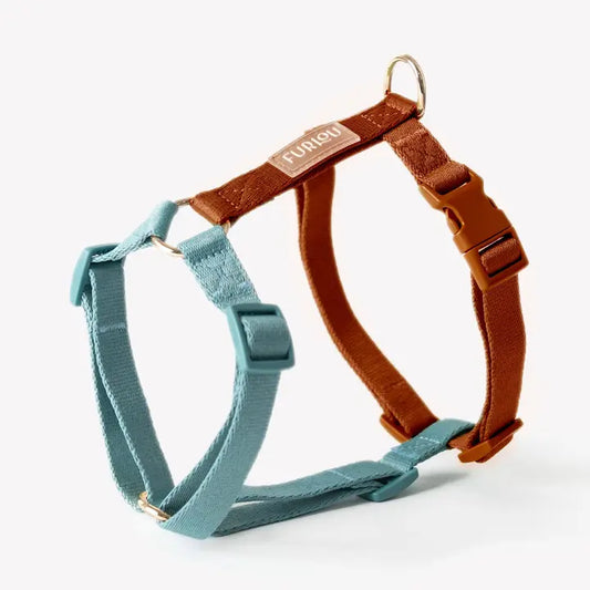 Harnais Blue & Clay