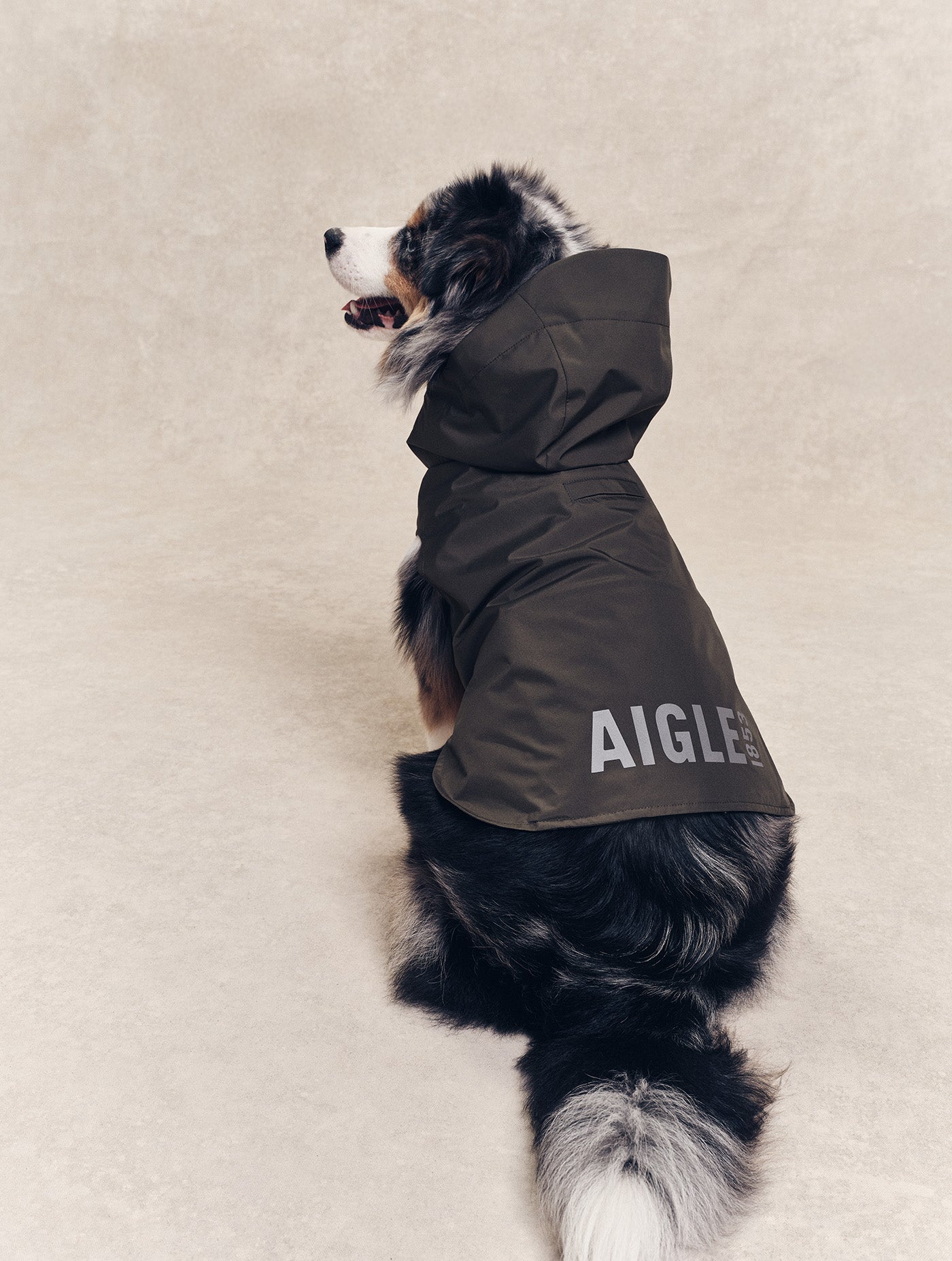 Imperméable pour chien Rainpack Light