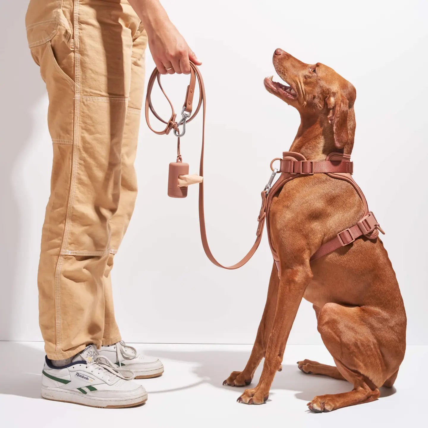 Distributeur de sacs à déjections