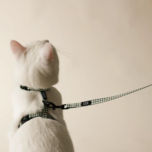 Ensemble harnais + laisse pour chat