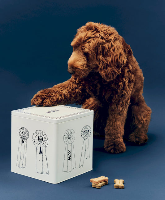 Boîte de conservation de croquettes HAY