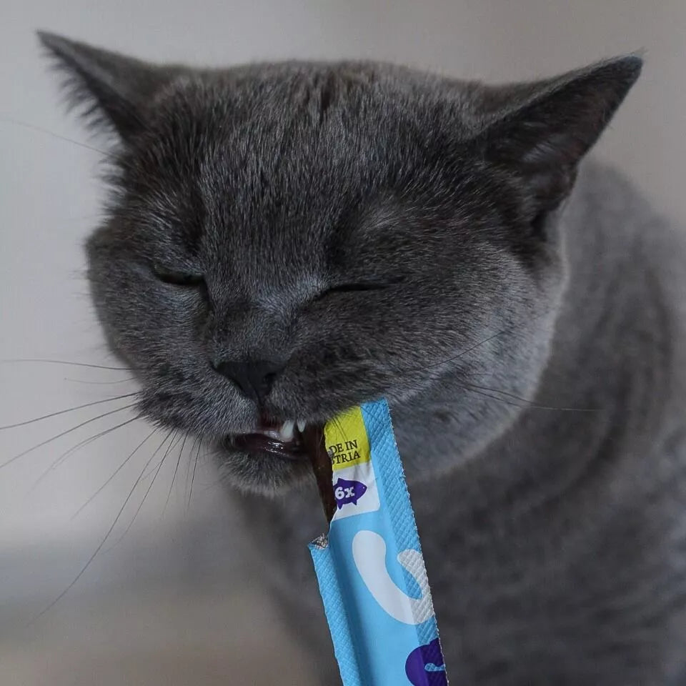 Soft Sticks au saumon pour chat