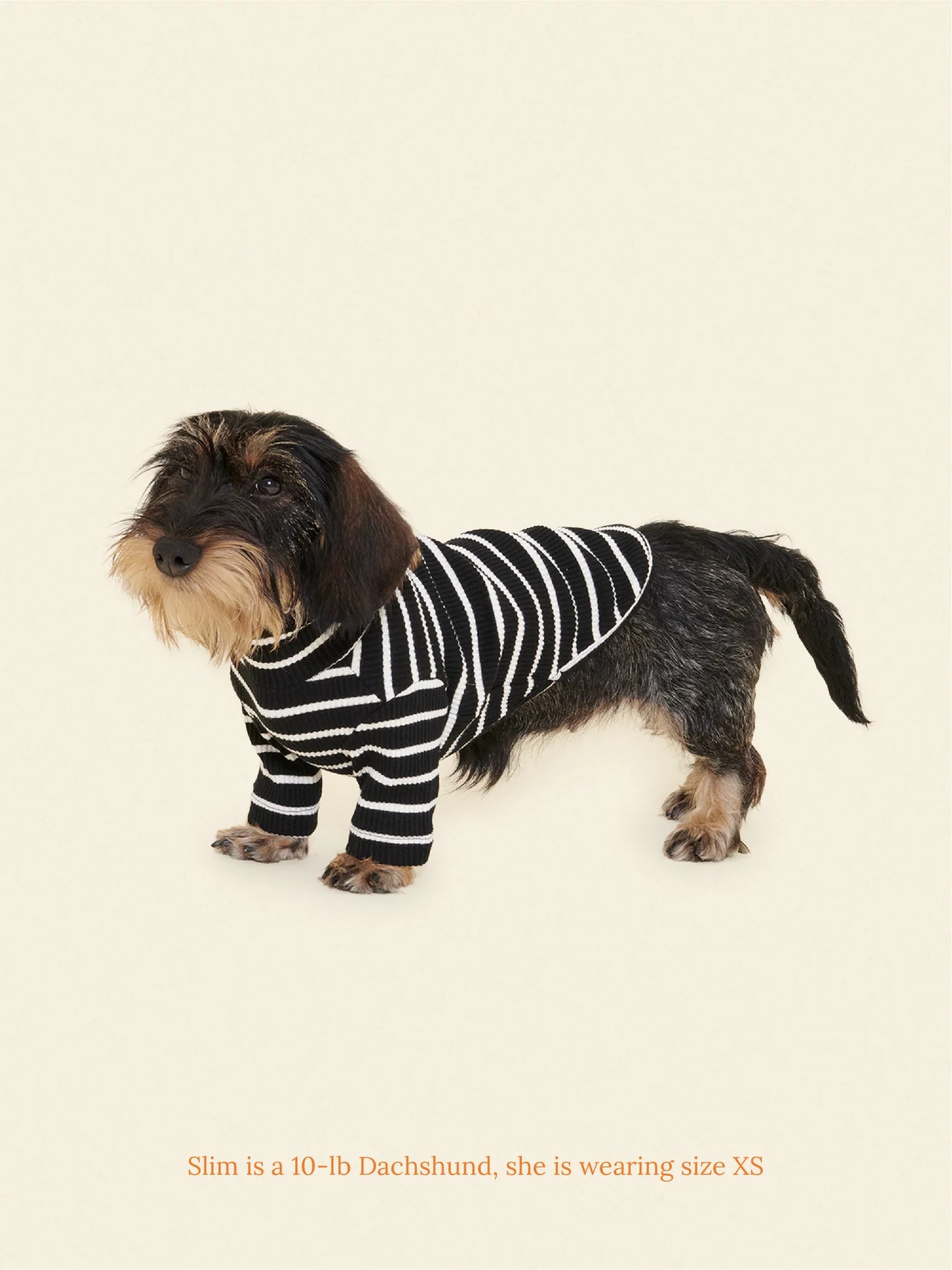 T-shirt Black/White
