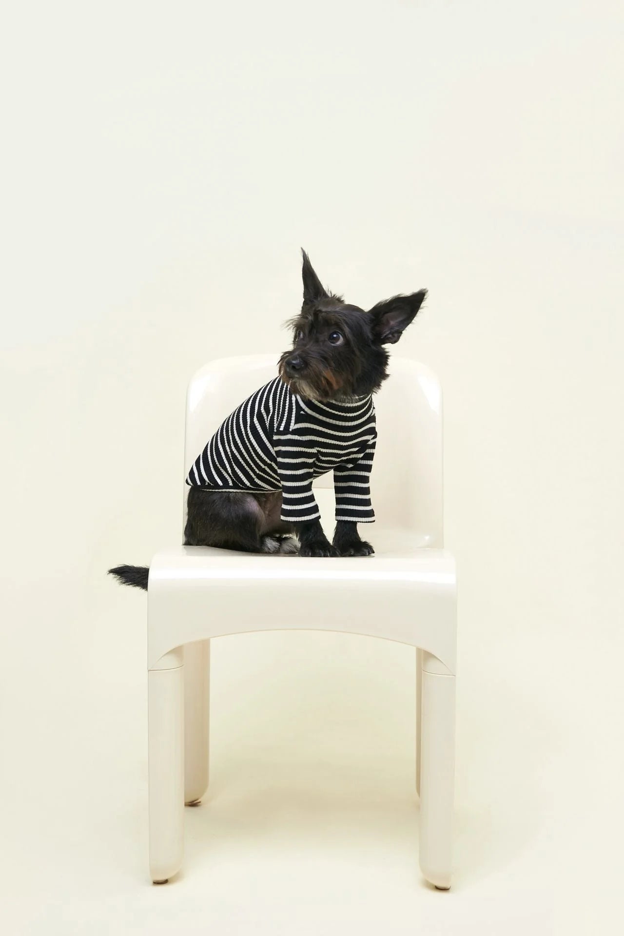 T-shirt Black/White