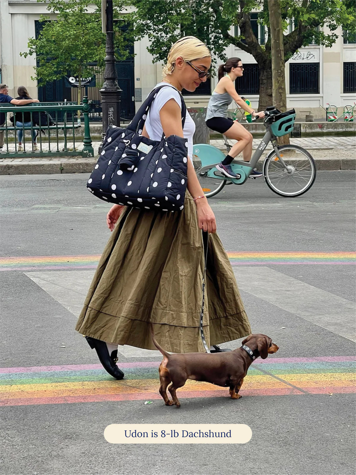 Sac de transport pour chiens
