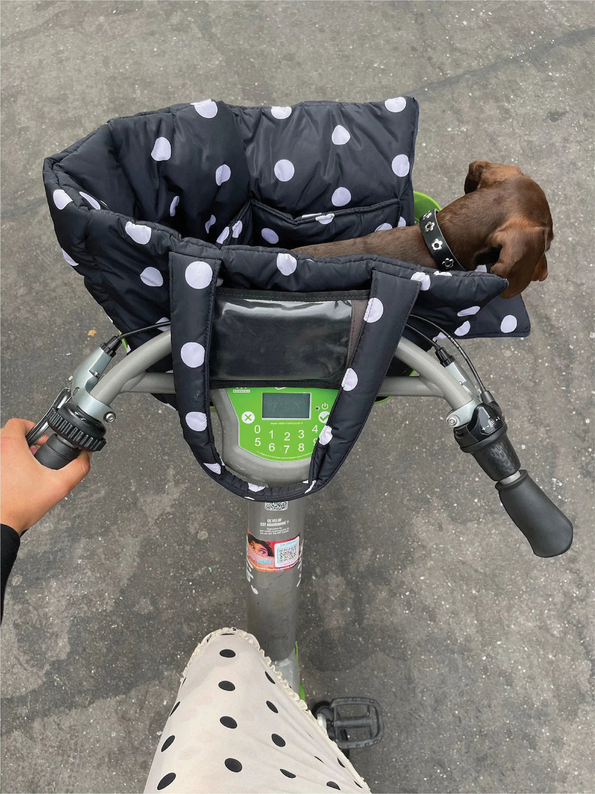 Sac de transport pour chiens