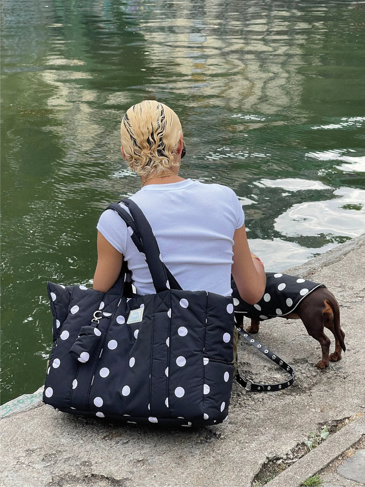Sac de transport pour chiens