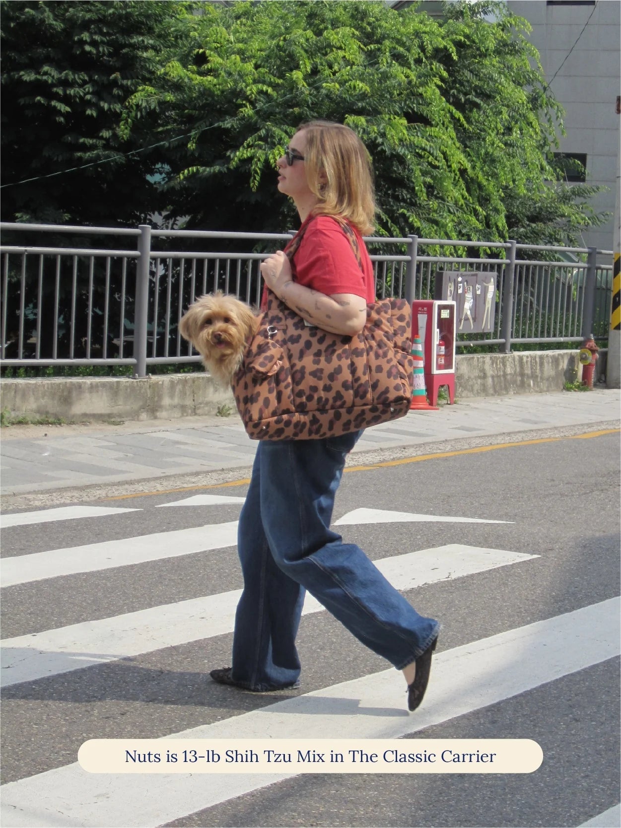 Sac de transport pour chiens