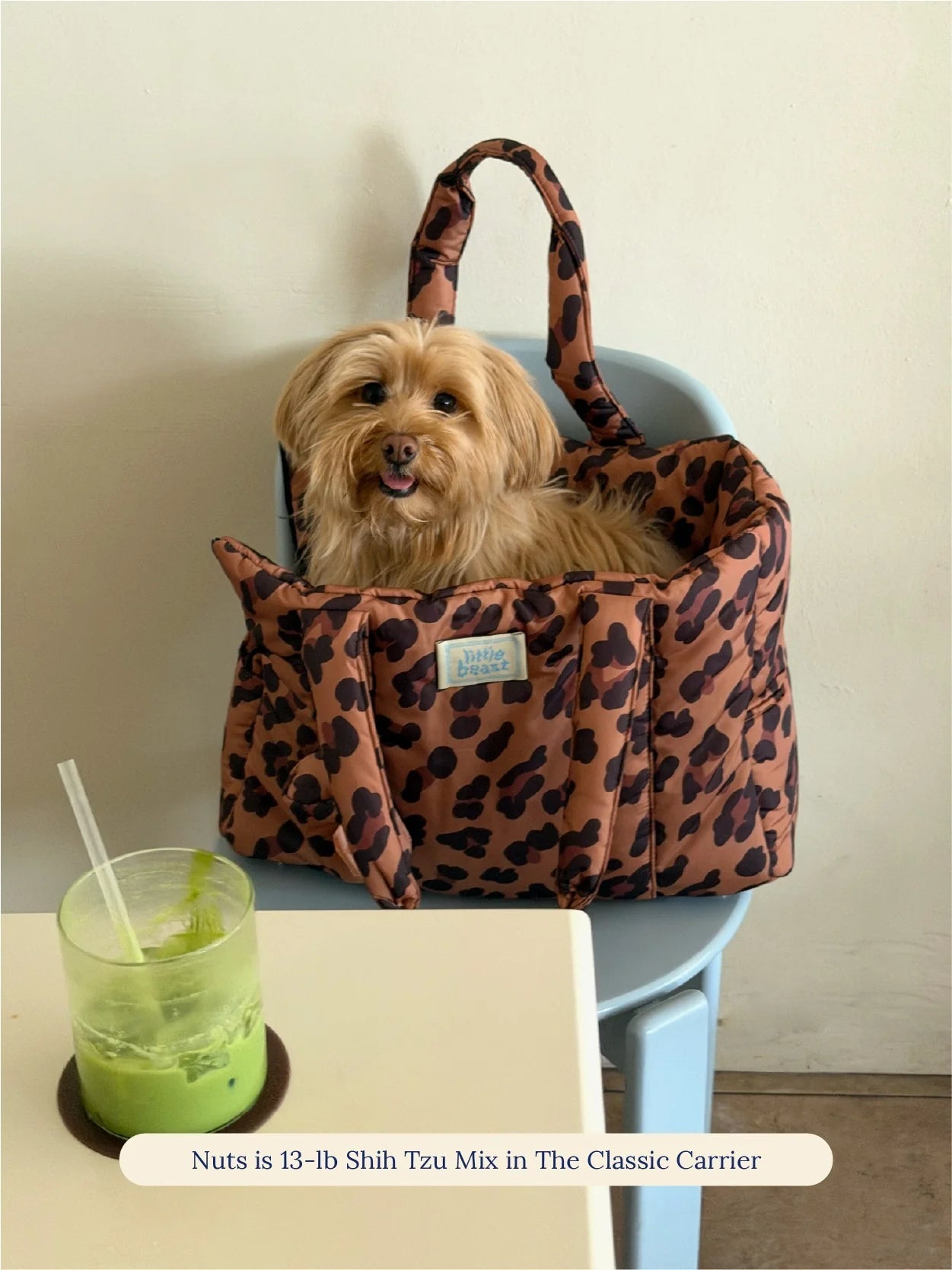 Sac de transport pour chiens