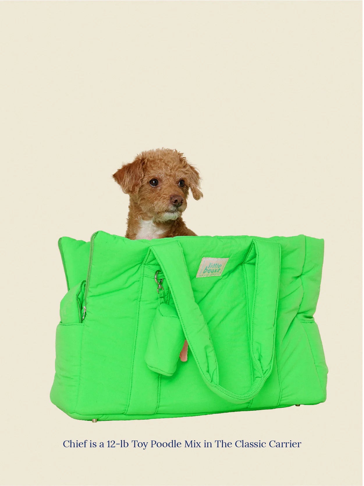 Sac de transport pour chiens