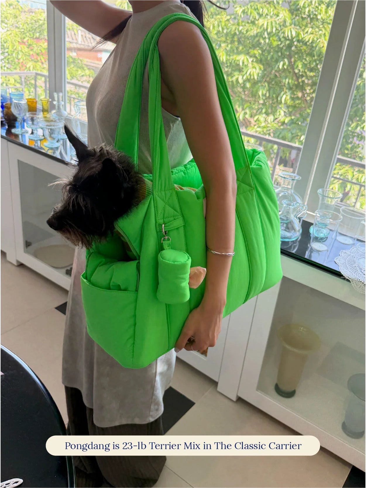 Sac de transport pour chiens