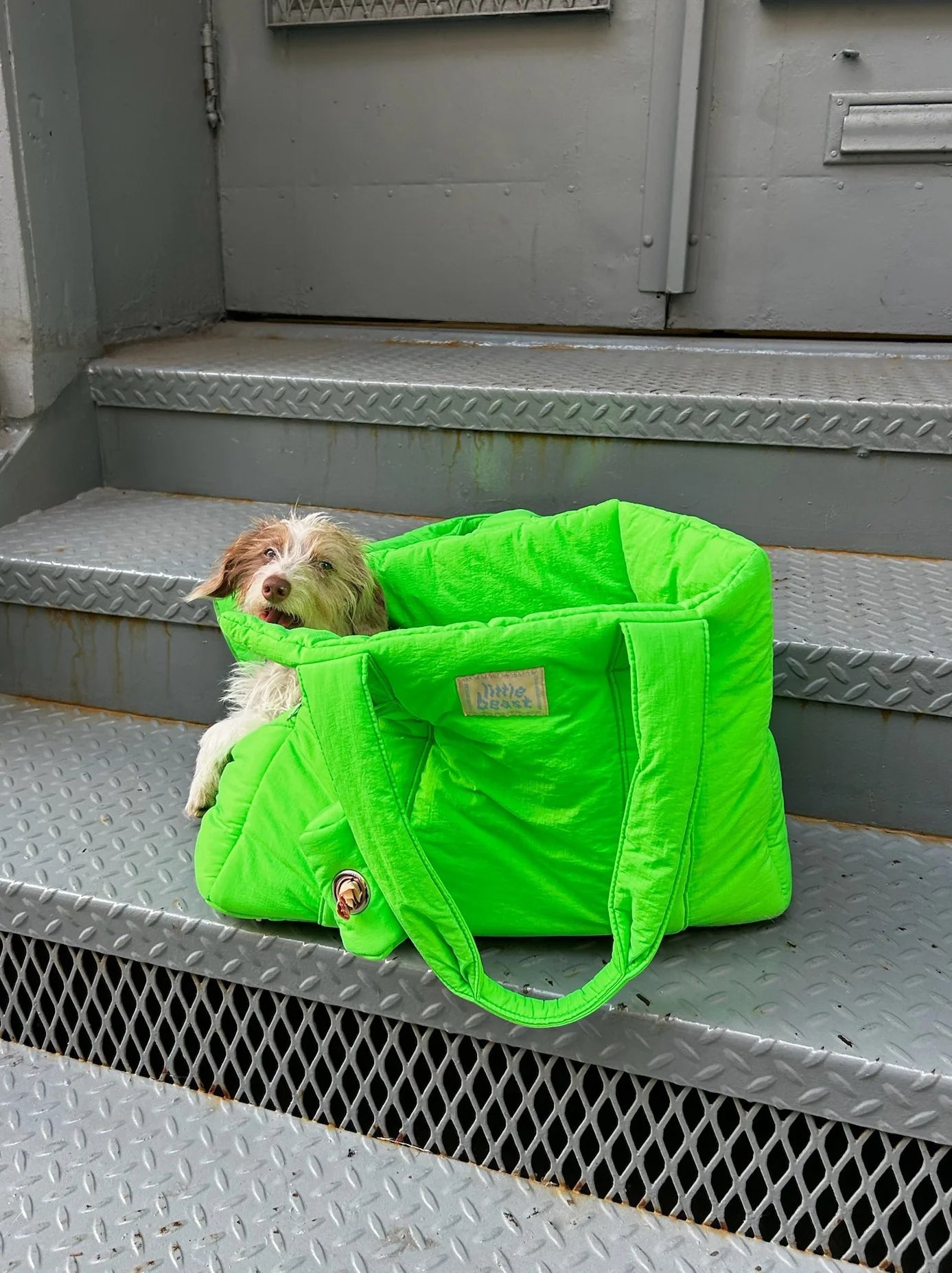 Sac de transport pour chiens