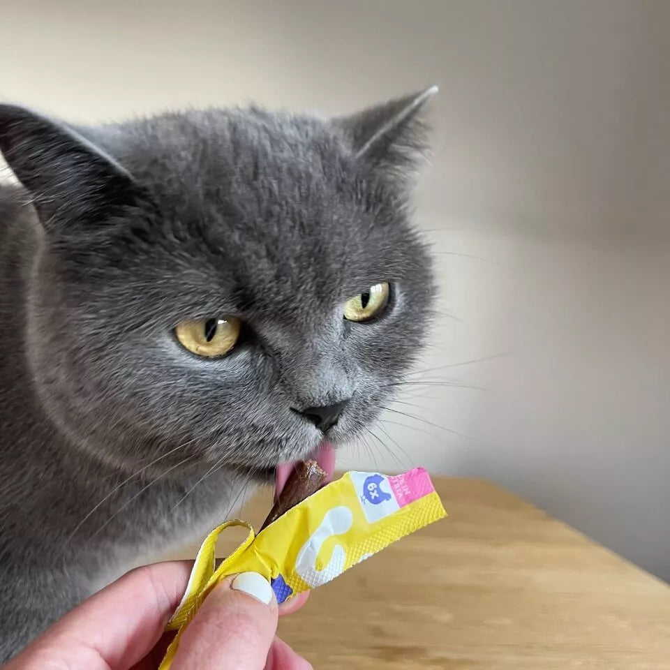 Soft Sticks au poulet pour chat