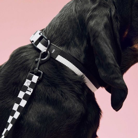 Collier Black/White HAY