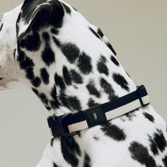 Collier Black/White HAY