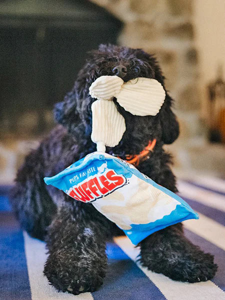 Jouet de fouille Chips