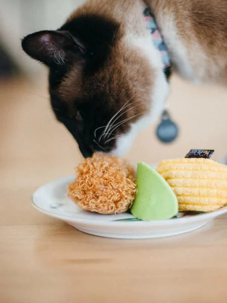 Jouets pour chat Poulet et Maïs