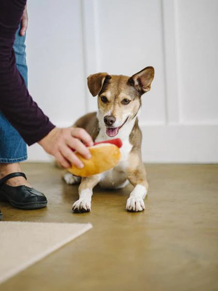 Jouet en peluche Hot Dog