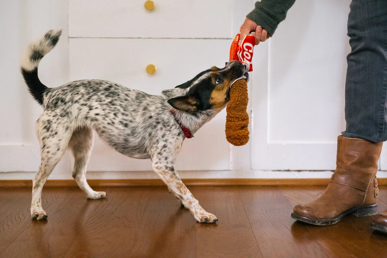 Jouet de fouille Canette de Cola