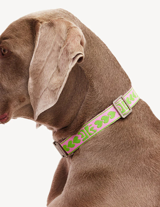 Collier Green/Pink LOAVIES x DOGGUO