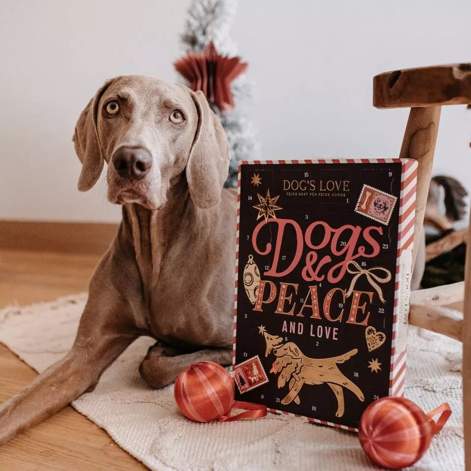 Calendrier de l'avent