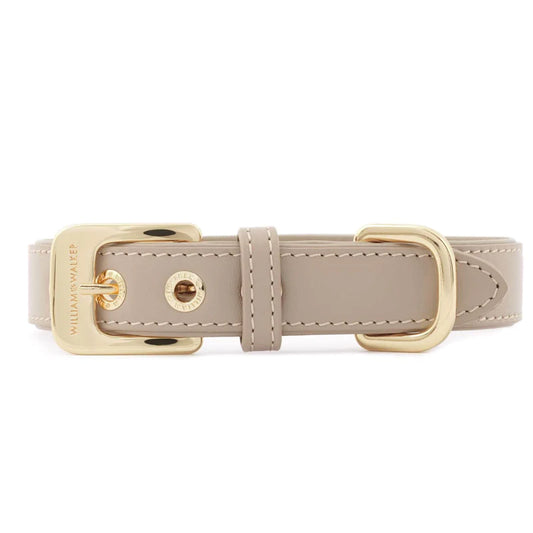 Collier pour chien Sand