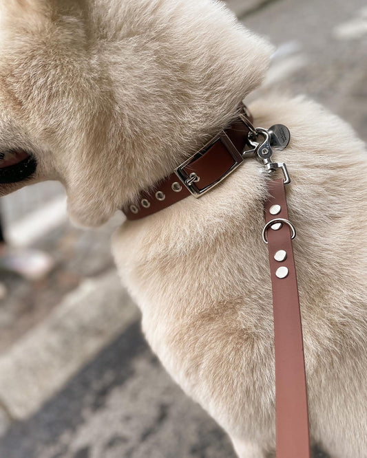 Collier en biothane camel